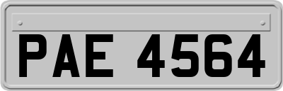 PAE4564
