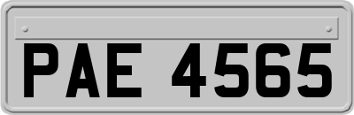 PAE4565