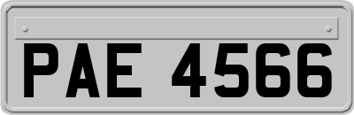 PAE4566