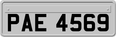 PAE4569