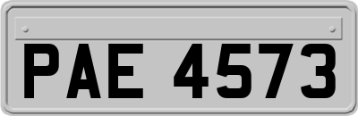 PAE4573