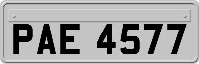 PAE4577