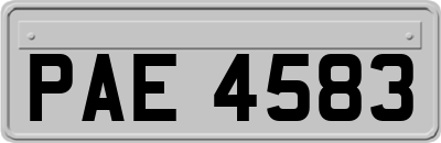 PAE4583