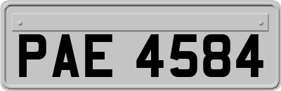 PAE4584