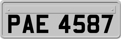 PAE4587