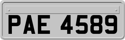 PAE4589