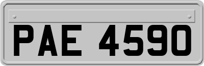 PAE4590
