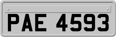 PAE4593
