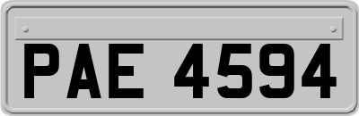 PAE4594