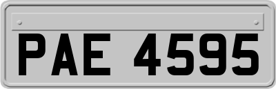 PAE4595