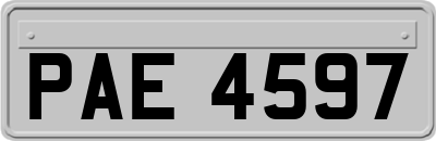 PAE4597