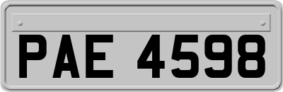 PAE4598