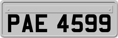 PAE4599