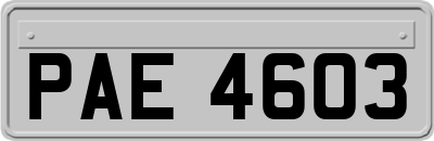 PAE4603