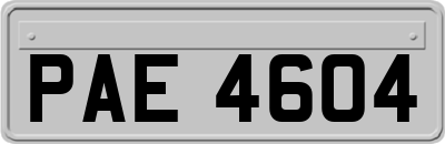 PAE4604
