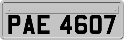 PAE4607