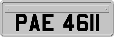 PAE4611