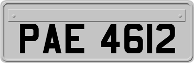 PAE4612