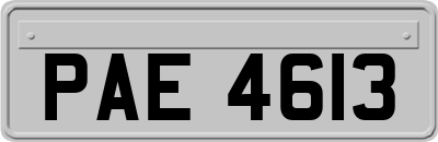 PAE4613