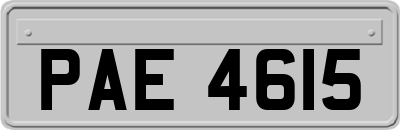 PAE4615