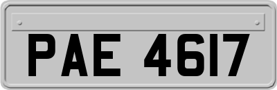 PAE4617