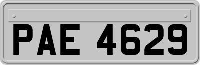 PAE4629