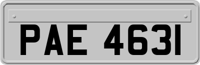 PAE4631