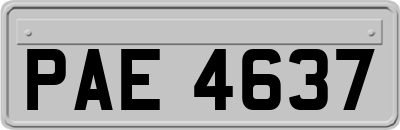 PAE4637