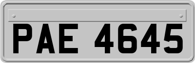 PAE4645