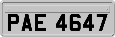 PAE4647