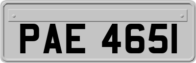 PAE4651
