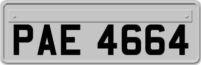 PAE4664