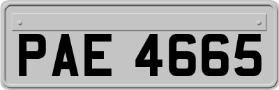 PAE4665