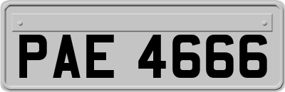 PAE4666