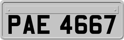 PAE4667