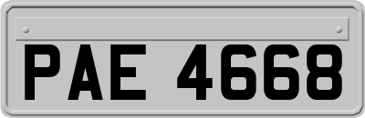 PAE4668