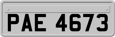 PAE4673