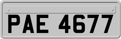 PAE4677