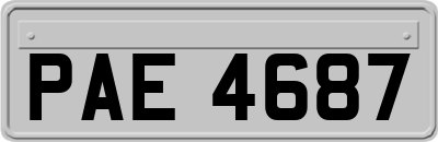 PAE4687