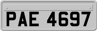 PAE4697