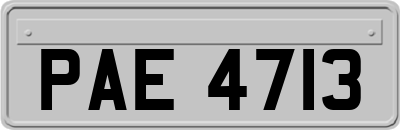 PAE4713