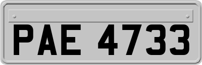 PAE4733