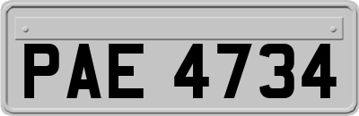 PAE4734