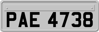 PAE4738