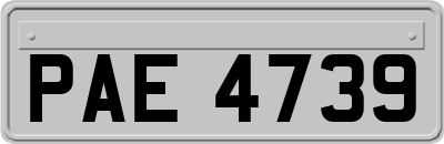 PAE4739