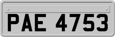PAE4753