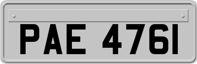 PAE4761
