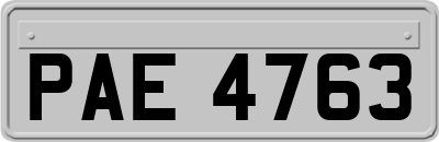 PAE4763