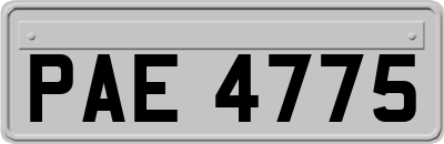 PAE4775