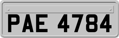 PAE4784